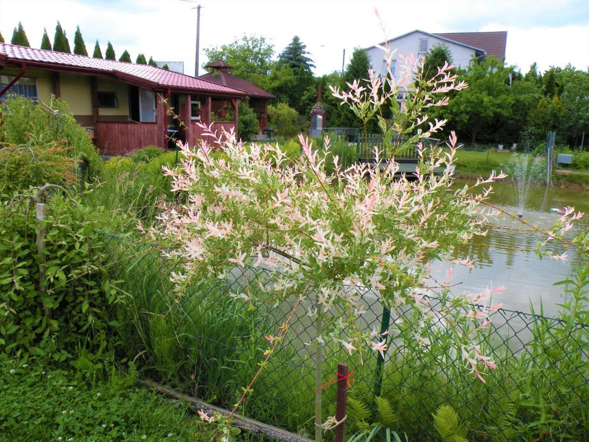 Domki Zabi Staw Mikołajki Exterior foto